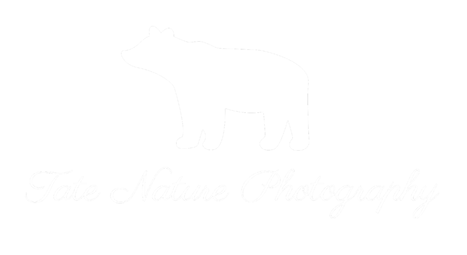 Tate Nature Photography