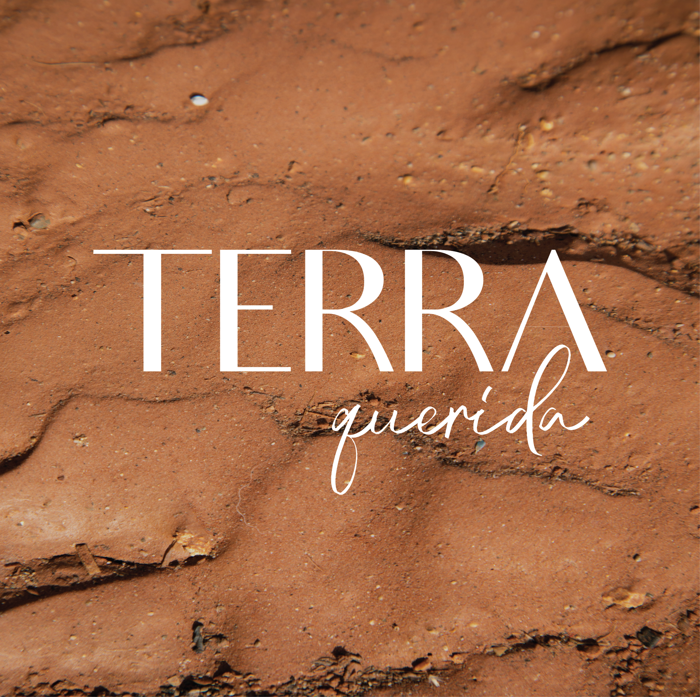 Terra Querida Branding