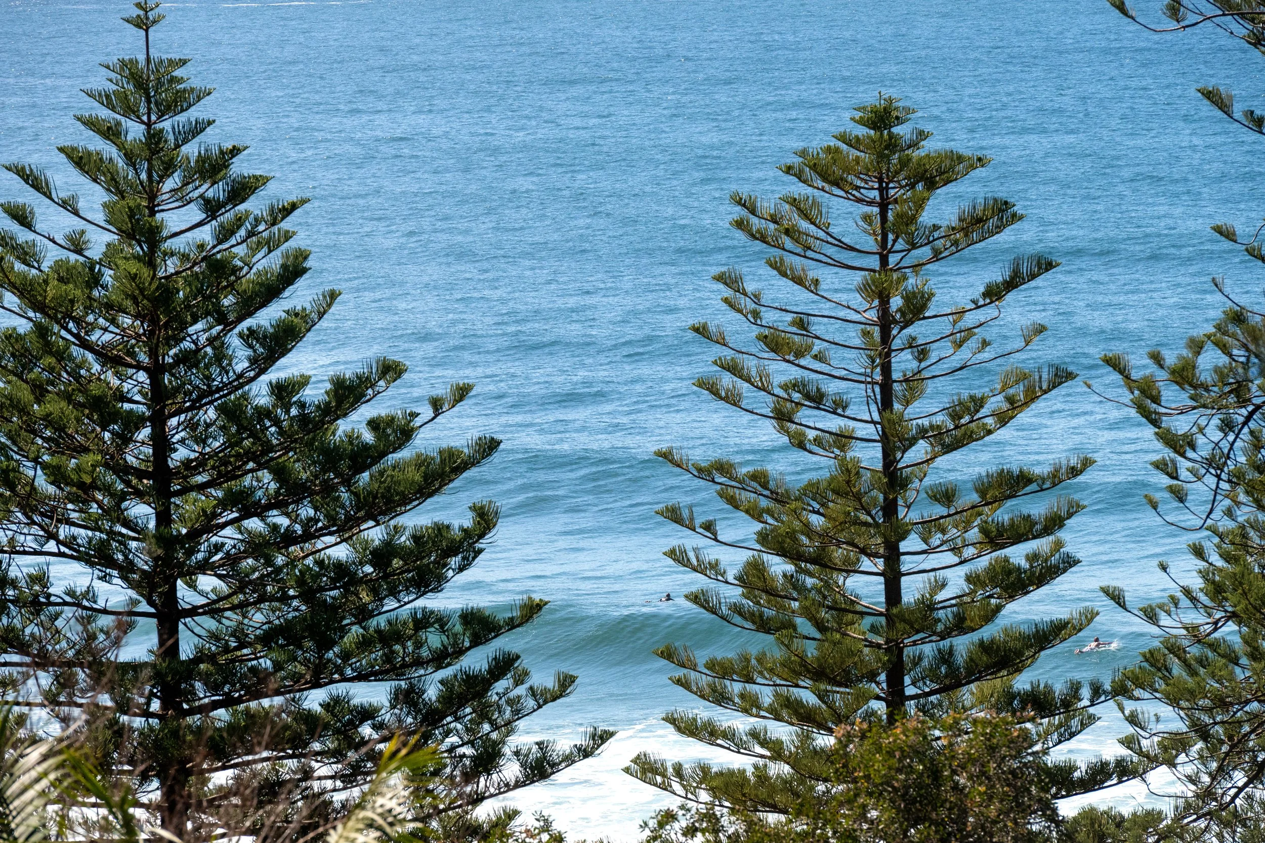 188_whale_beach_051.jpg