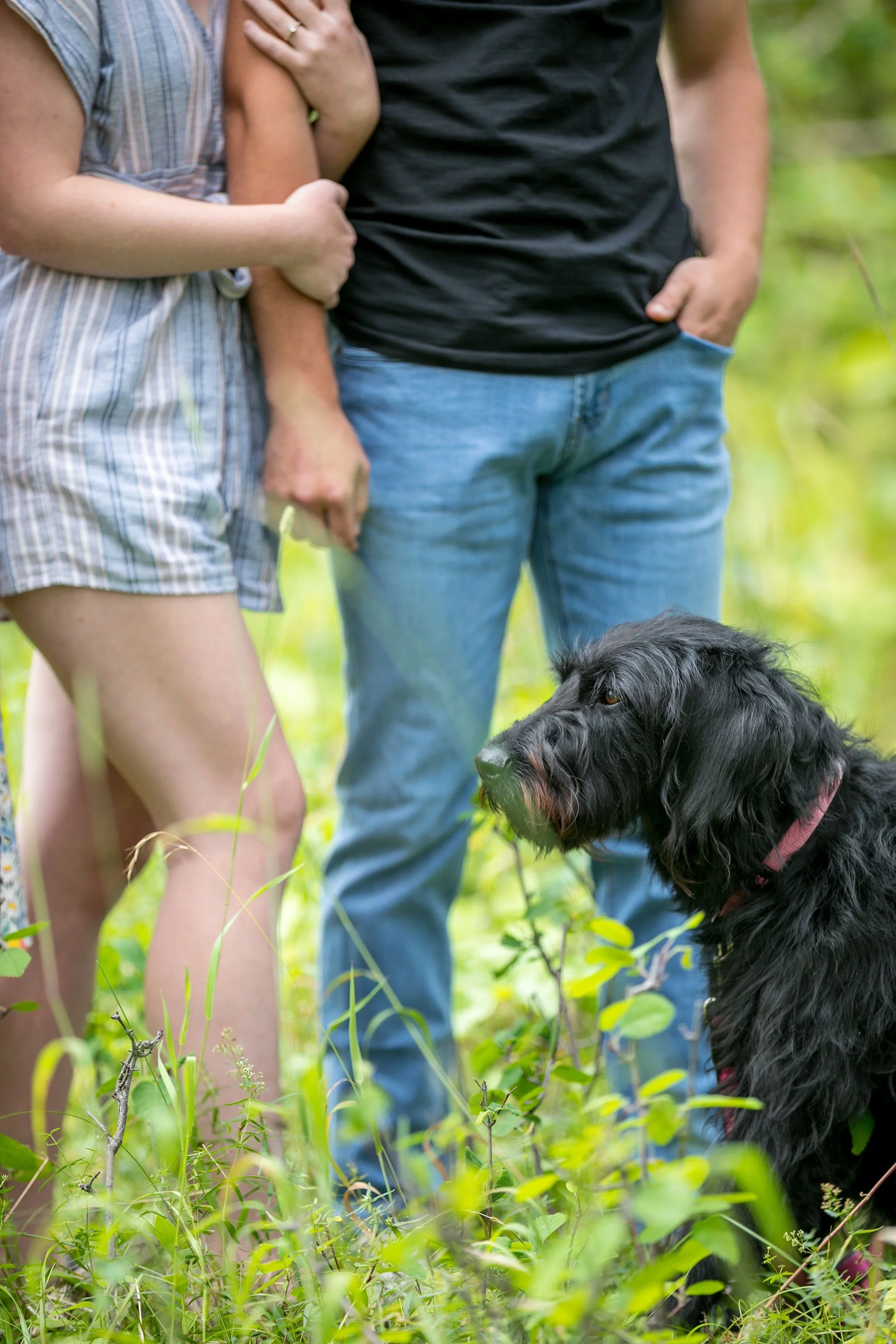 Couple holding hands with a black dog in a grassy area.