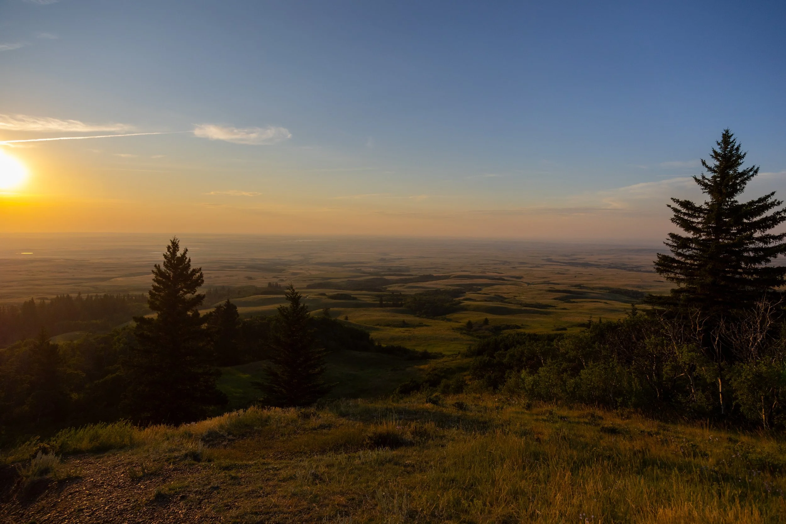 The beautiful view from Lookout vista in Cypress Hills 