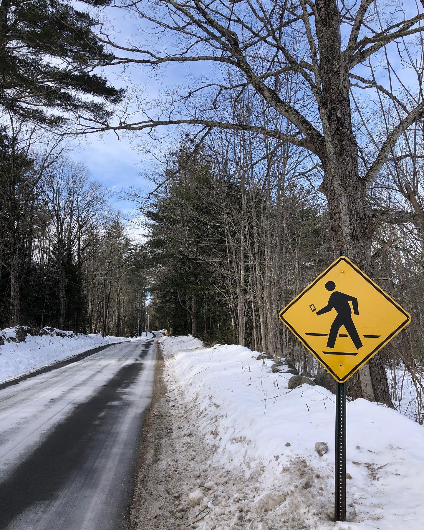 CAUTION: There are people walking through snow covered roads in NH and they&rsquo;re looking at their phones instead of the trees. #cautioncellphones 📱👀⚠️