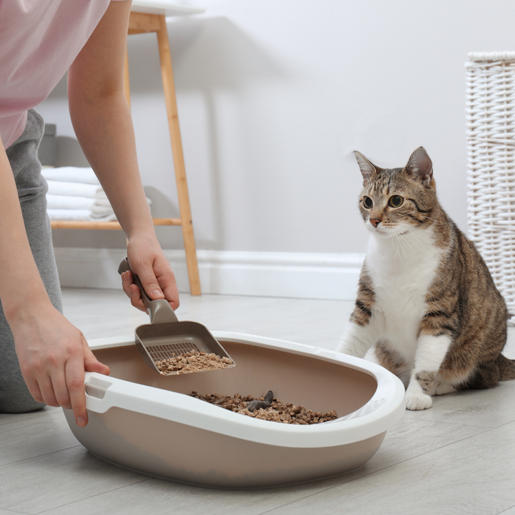 Elite Cat Litter — Elite Wood Pellets