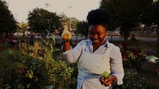 In the garden, photography by Monography, LLC, wlflwr & co, LLC, veggies