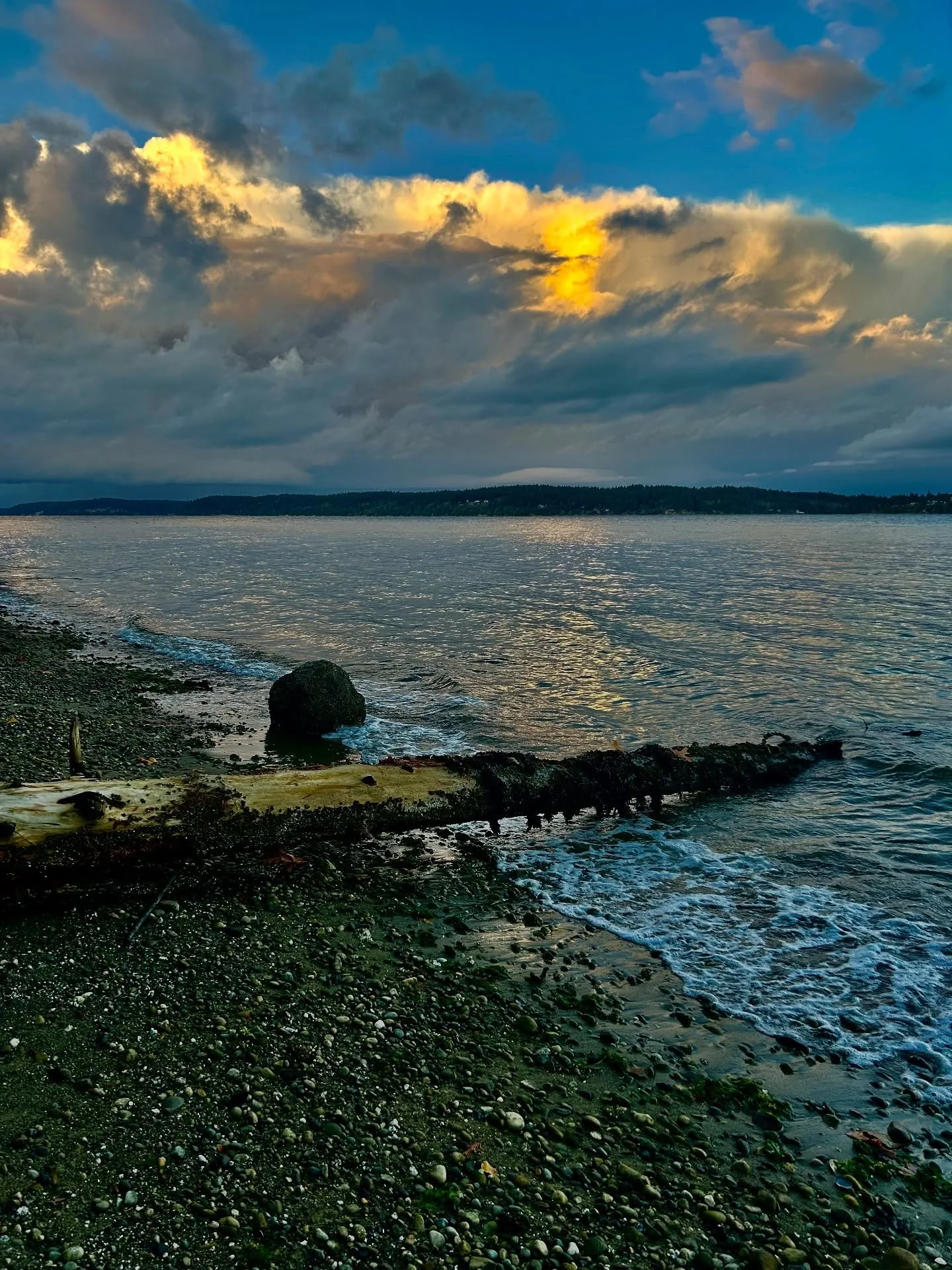 Now booking waterfowl hunts! Get your spot for 2025 now before they&rsquo;re gone🍁