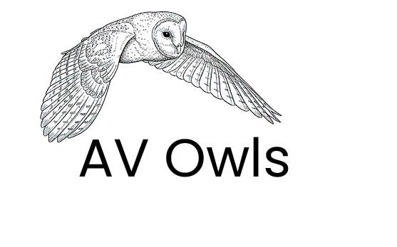 AV  Owls