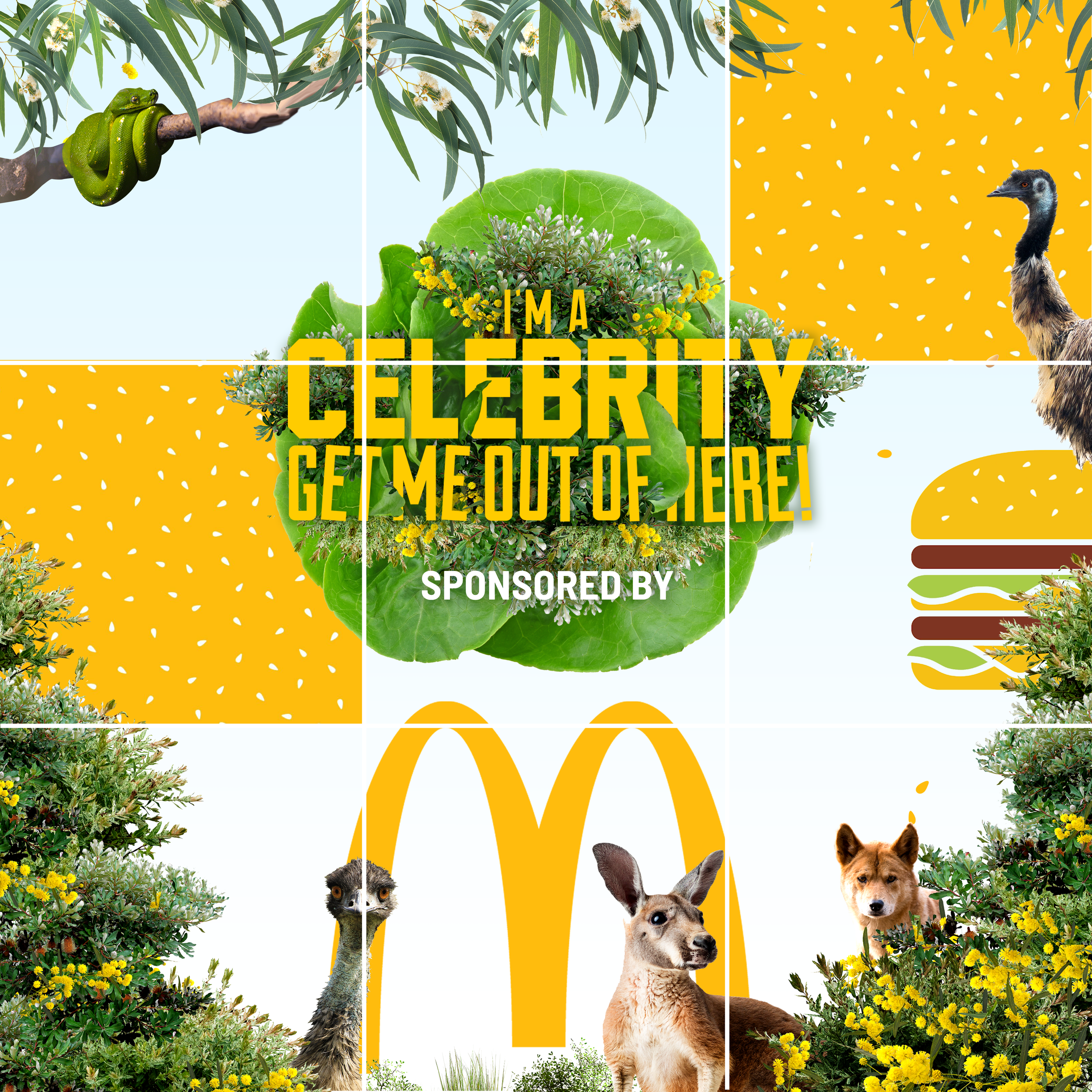 A collage features plants, a snake, ostrich, dog, kangaroo, a McDonald's logo, and text that reads 'I'm a celebrity, get me out of here!', with vibrant yellow, green, and blue colors.
