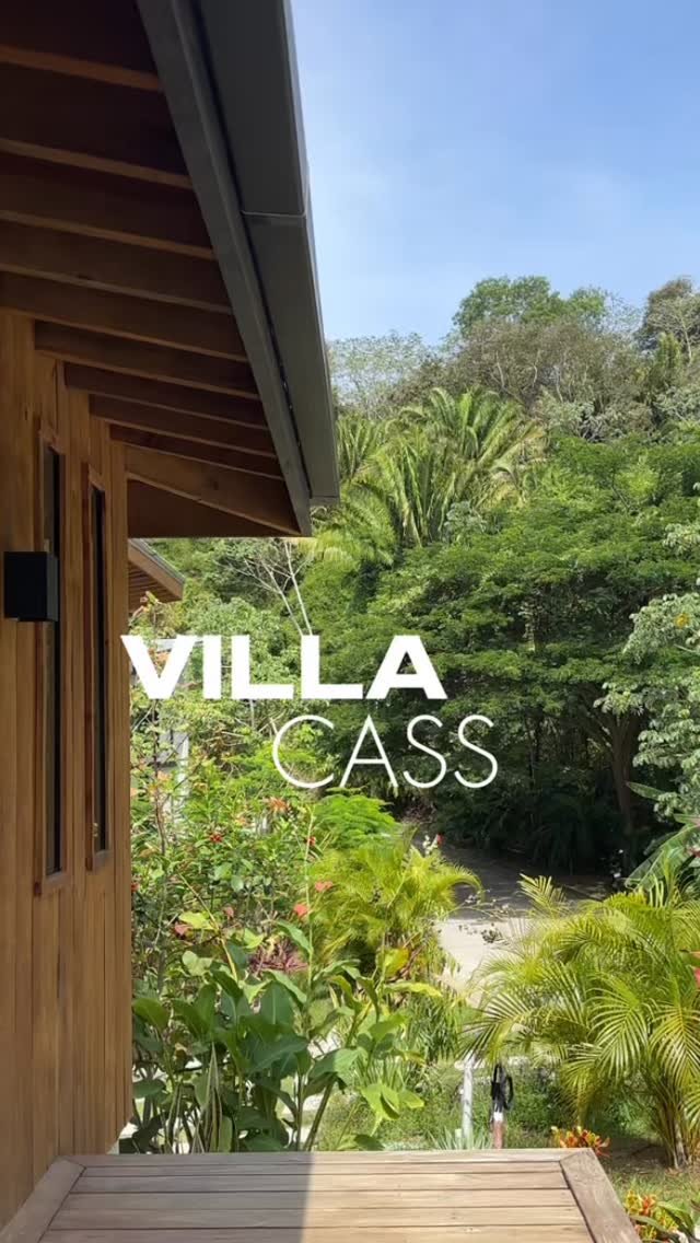 ✨ Welcome to Islander Glass — where modern design meets jungle serenity.