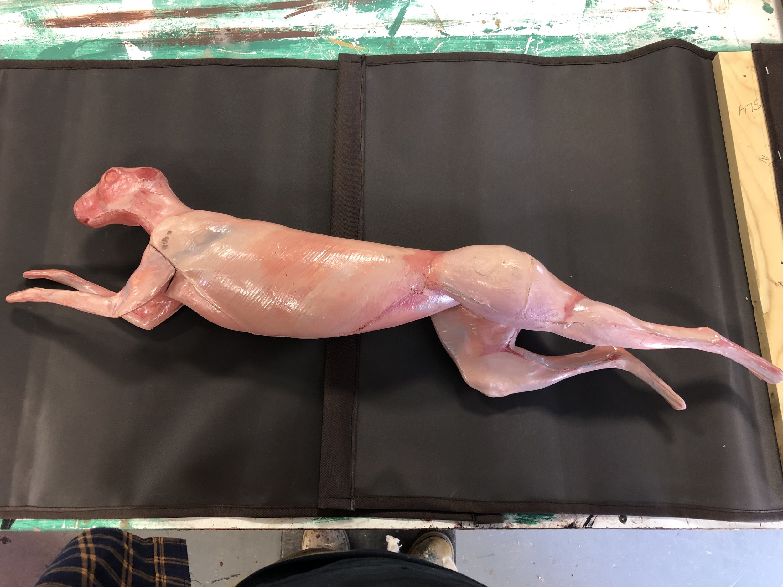 Raw Rabbit
