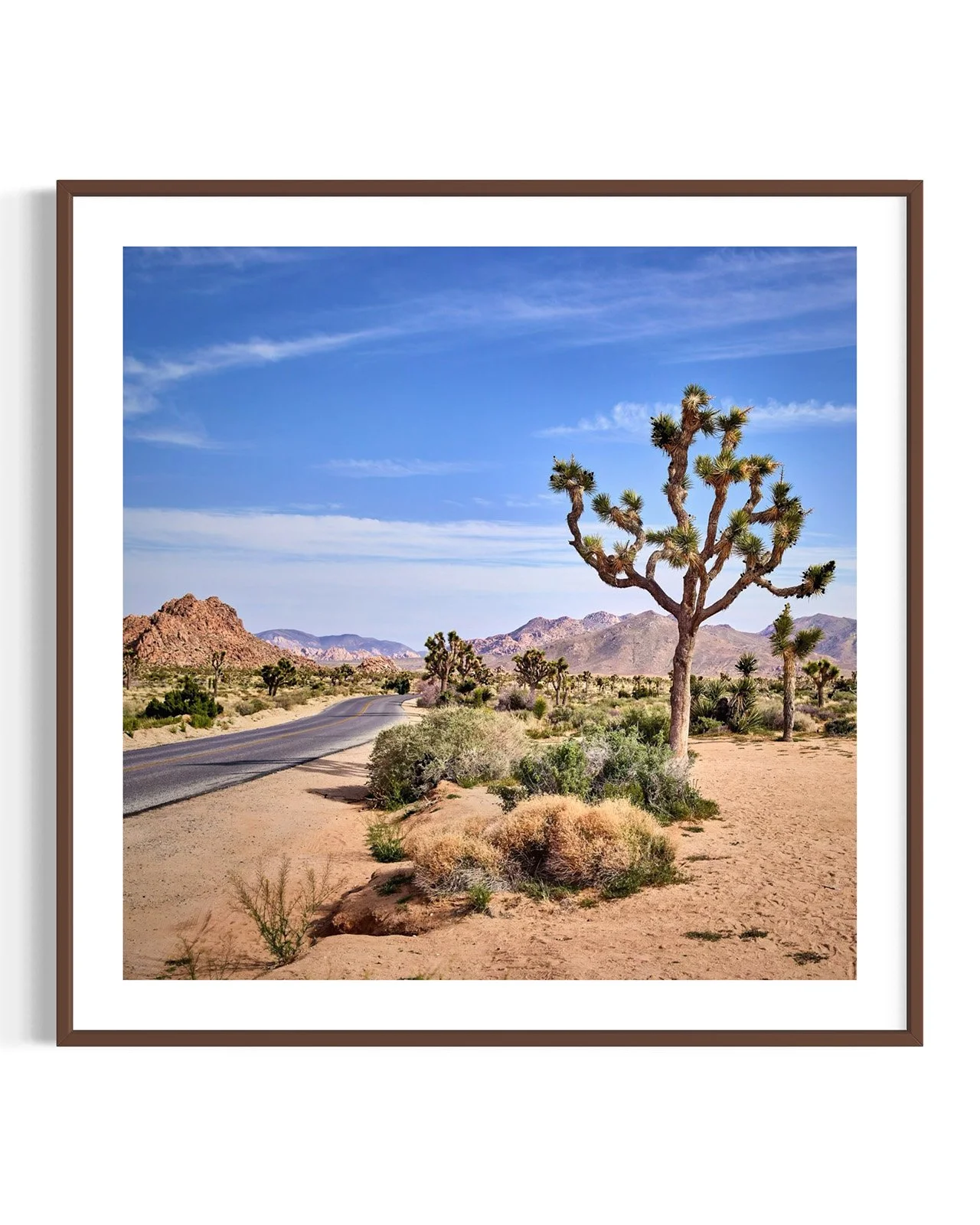 joshua-tree-oliphant-photo-art-5811-1.FF.DTL.WNT.001.jpg