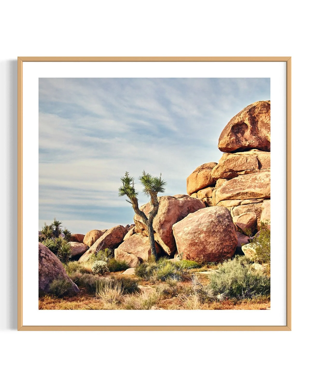 joshua-tree-oliphant-photo-art-6006-SQ.FF.DTL.OAK.001.jpg
