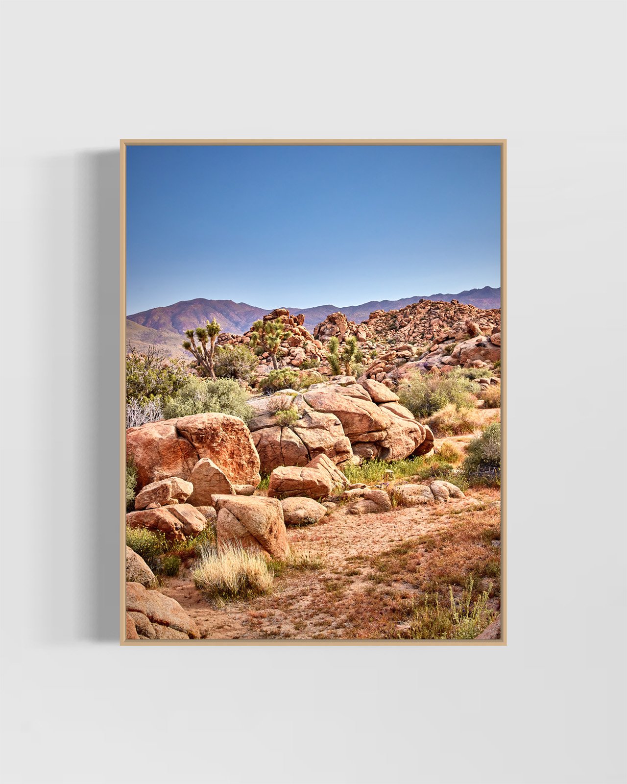 joshua-tree-oliphant-photo-art-5930.OAK.jpg