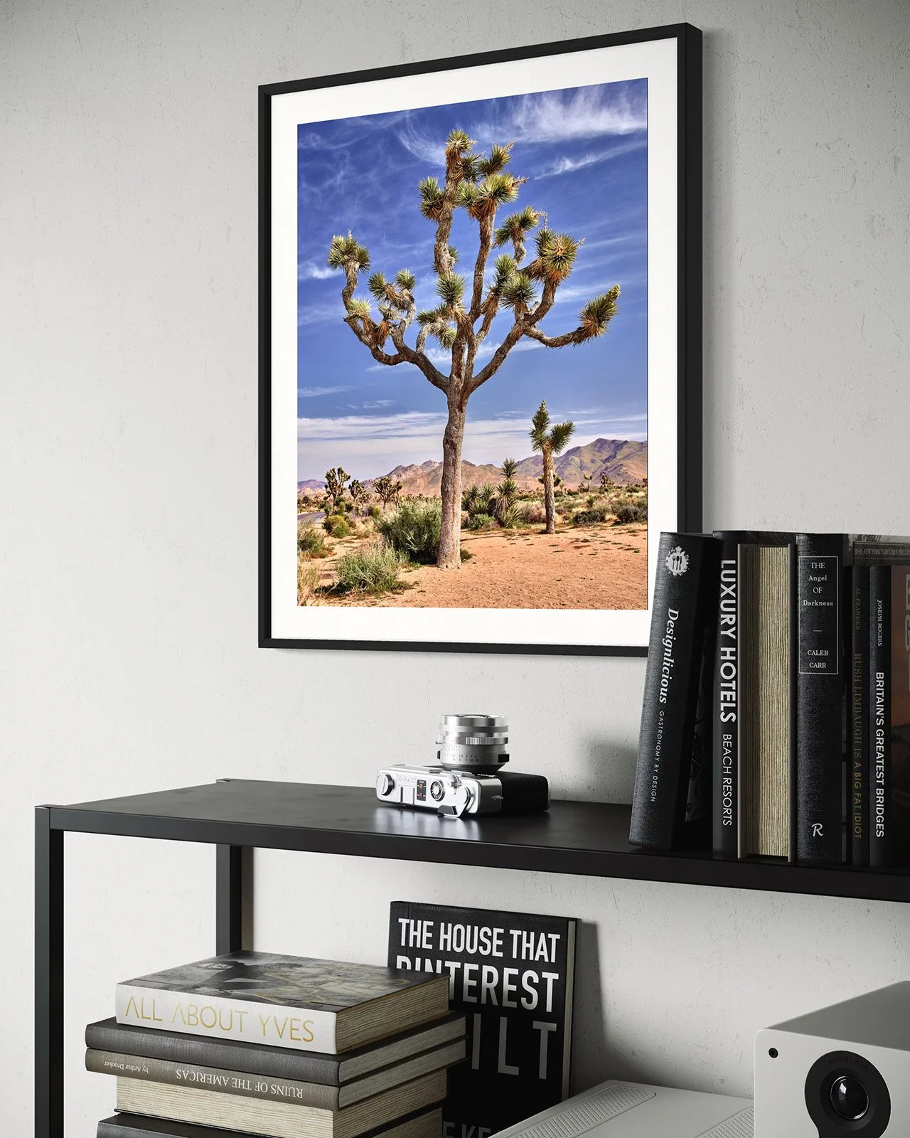 joshua-tree-oliphant-photo-art-5813.FF.STU.BLK.002.jpg