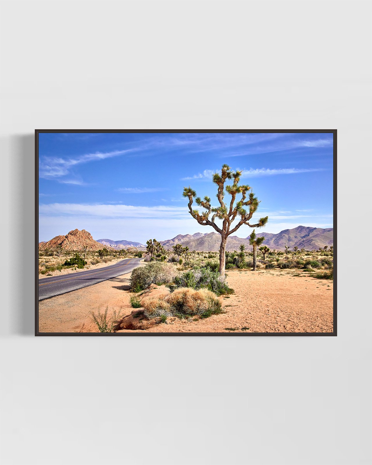 joshua-tree-oliphant-photo-art-5810.BLACK.jpg