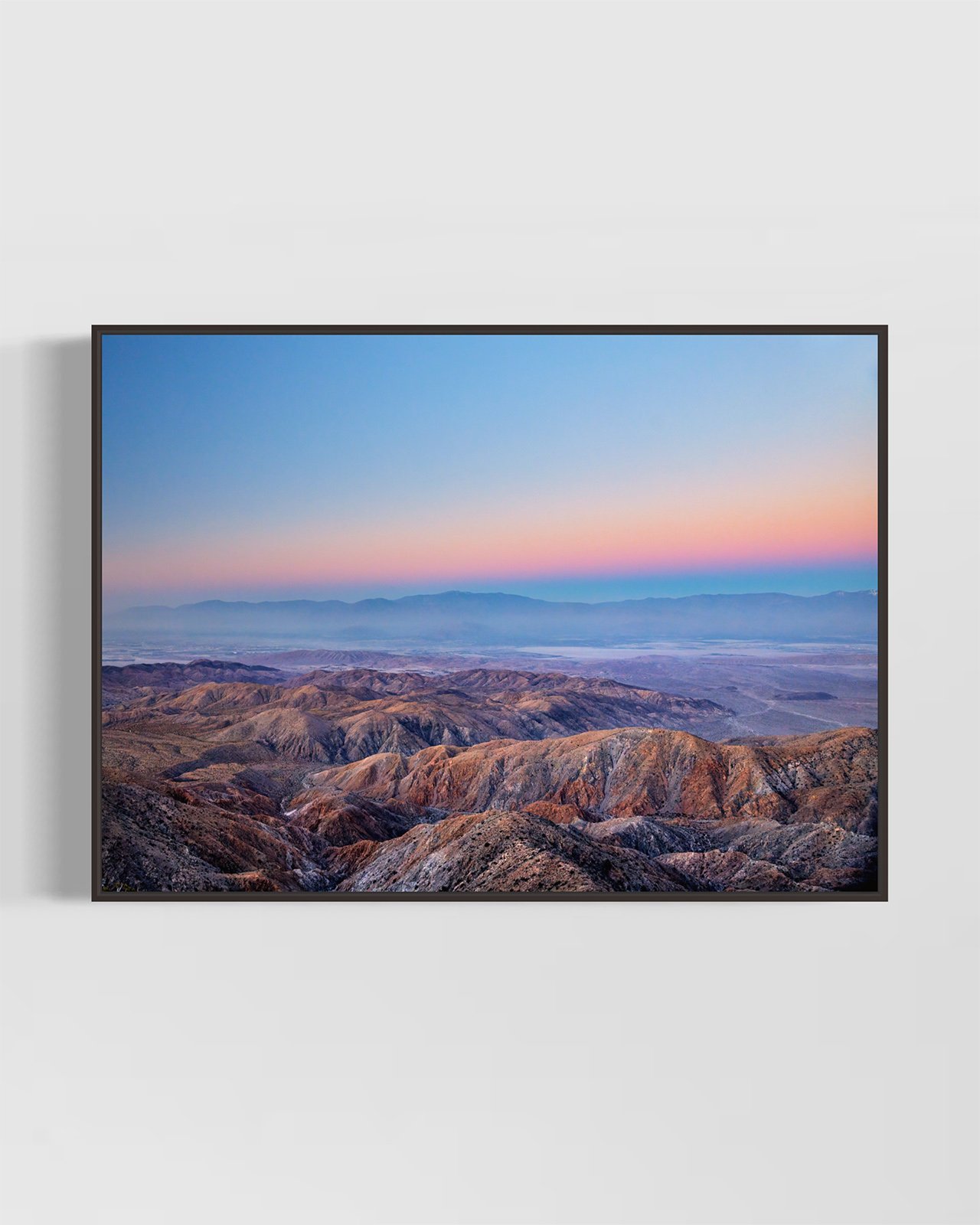 joshua-tree-oliphant-photo-art-6275_4X5.BLACK.jpg
