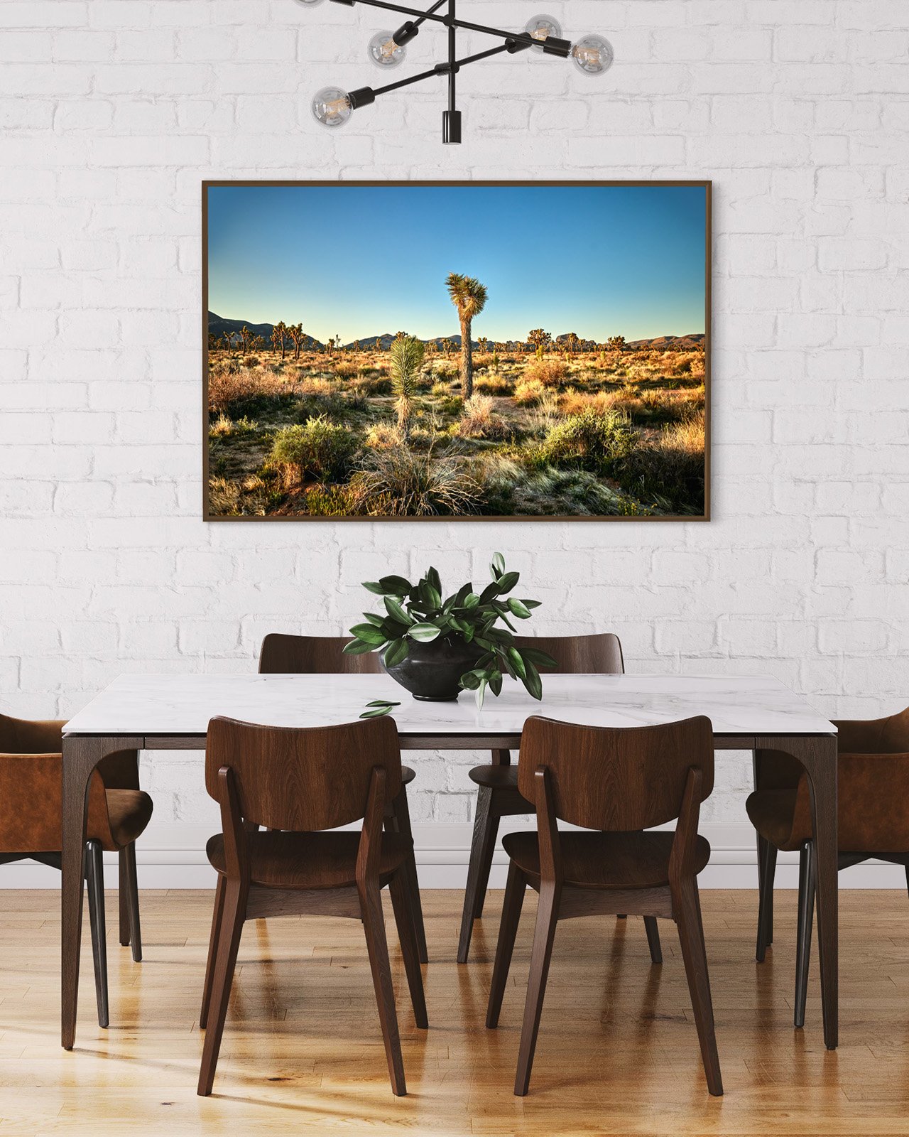 joshua-tree-oliphant-photo-art-6294.004.jpg
