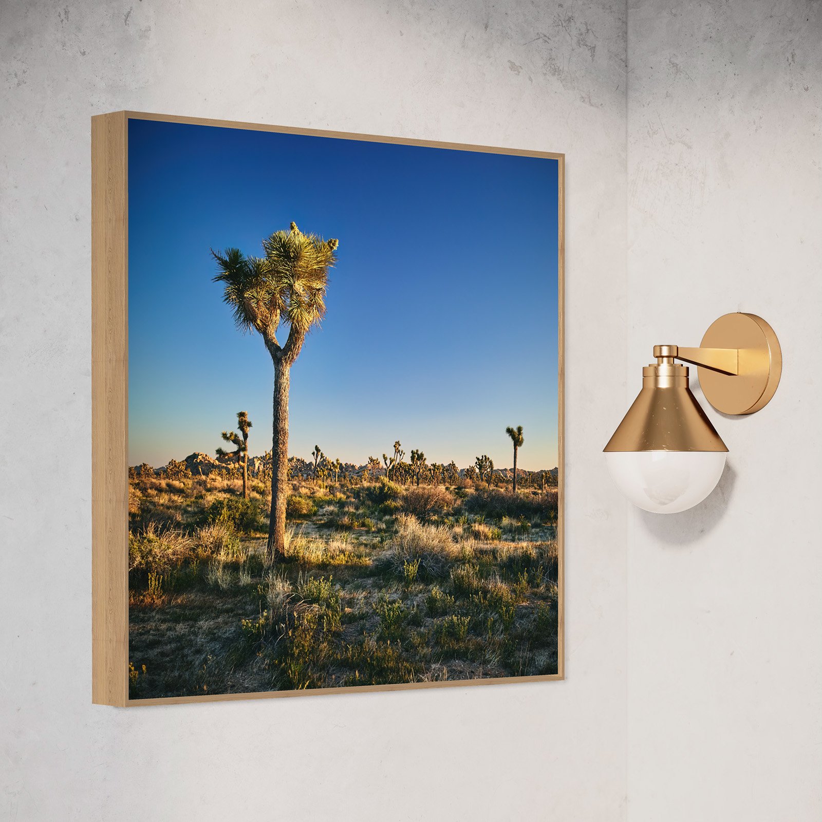 joshua-tree-oliphant-photo-art-6308.002.jpg
