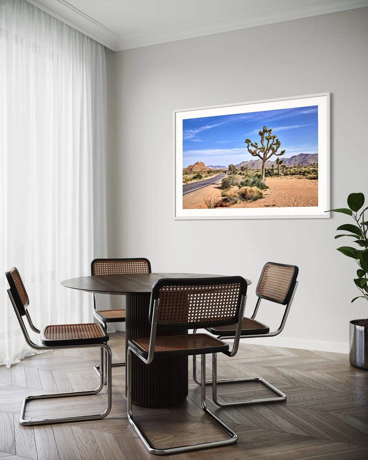 joshua-tree-oliphant-photo-art-5810.FF.STU.WHT.001.jpg