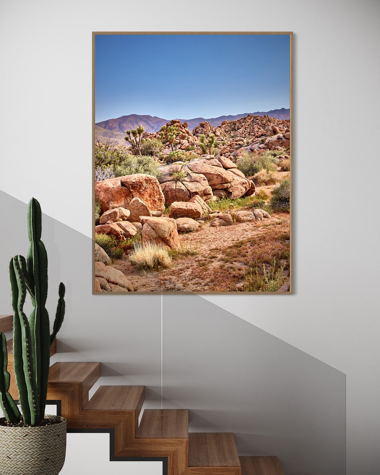joshua-tree-oliphant-photo-art-5930.013.jpg