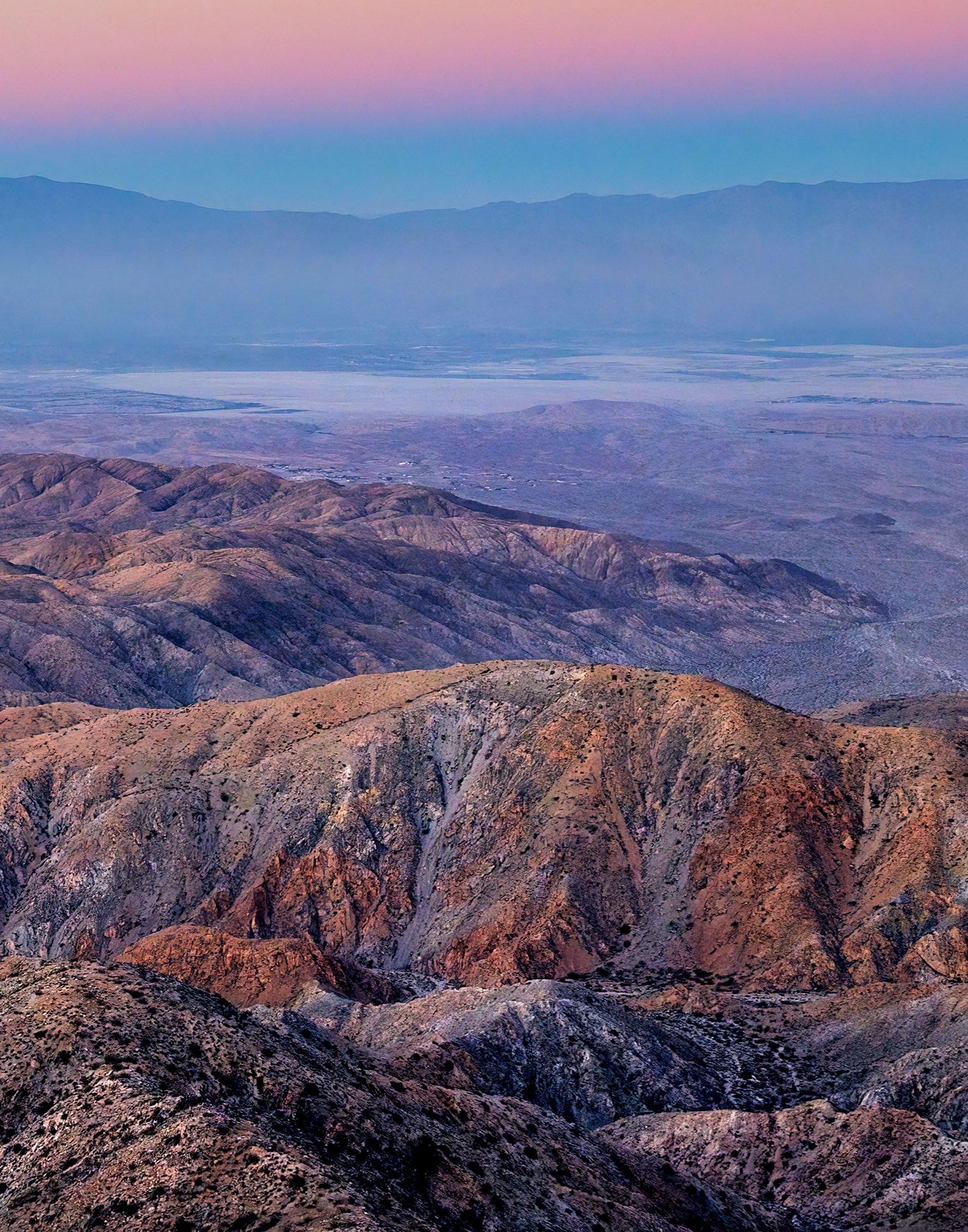 joshua-tree-oliphant-photo-art-6275_4X5.DETAIL.jpg