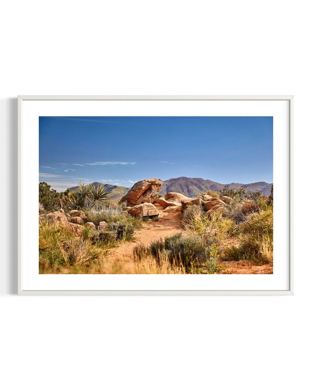 JOSHUA_TREE_5859.FF.DTL.WHT.001.jpg