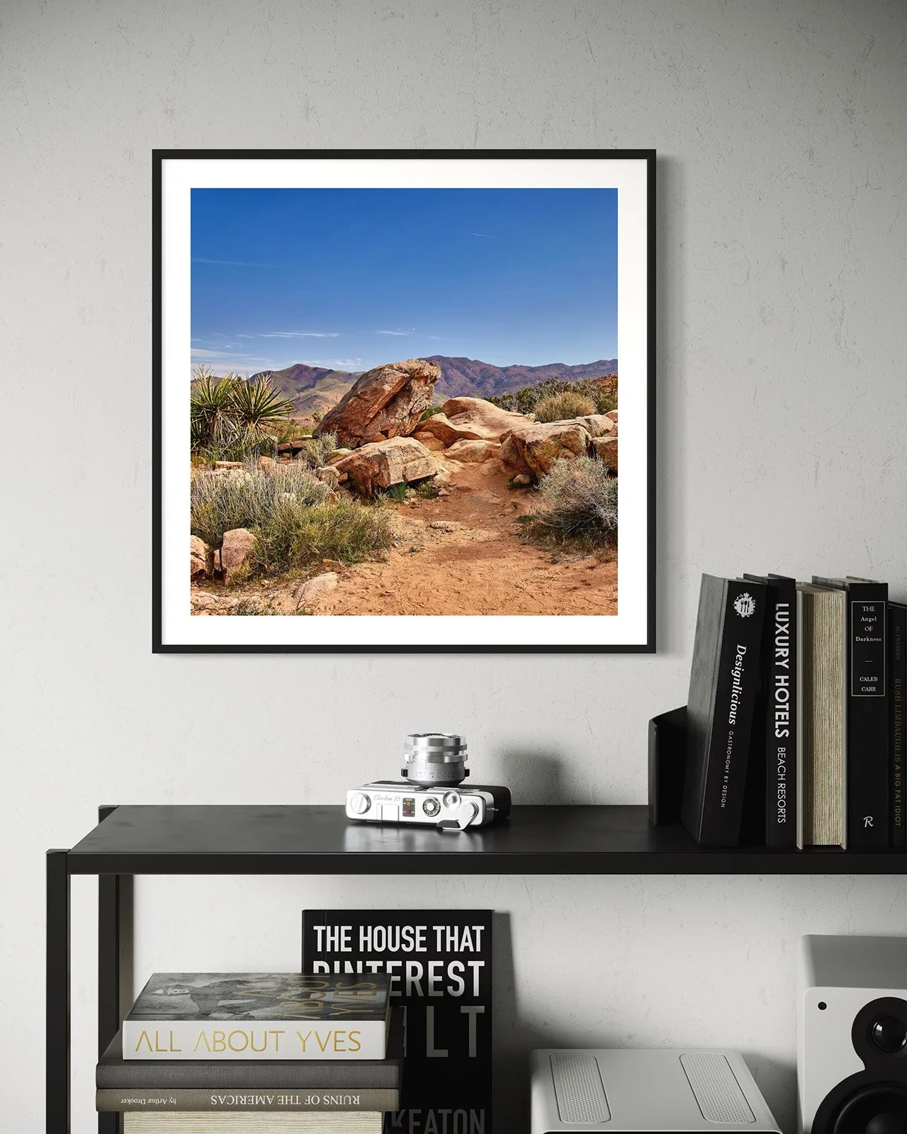 joshua-tree-oliphant-photo-art-5863.FF.STU.BLK.001.jpg