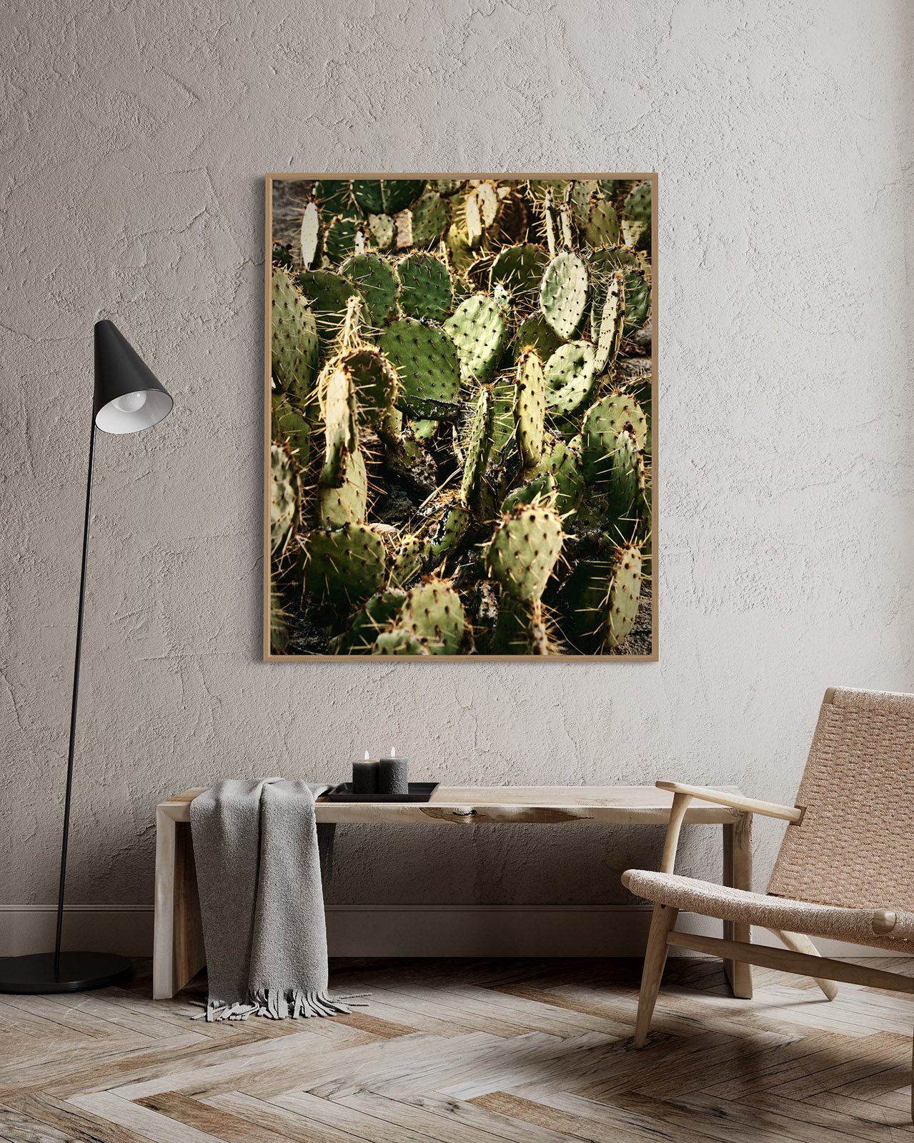 joshua-tree-cacti-oliphant-photo-art.6080.022.jpg