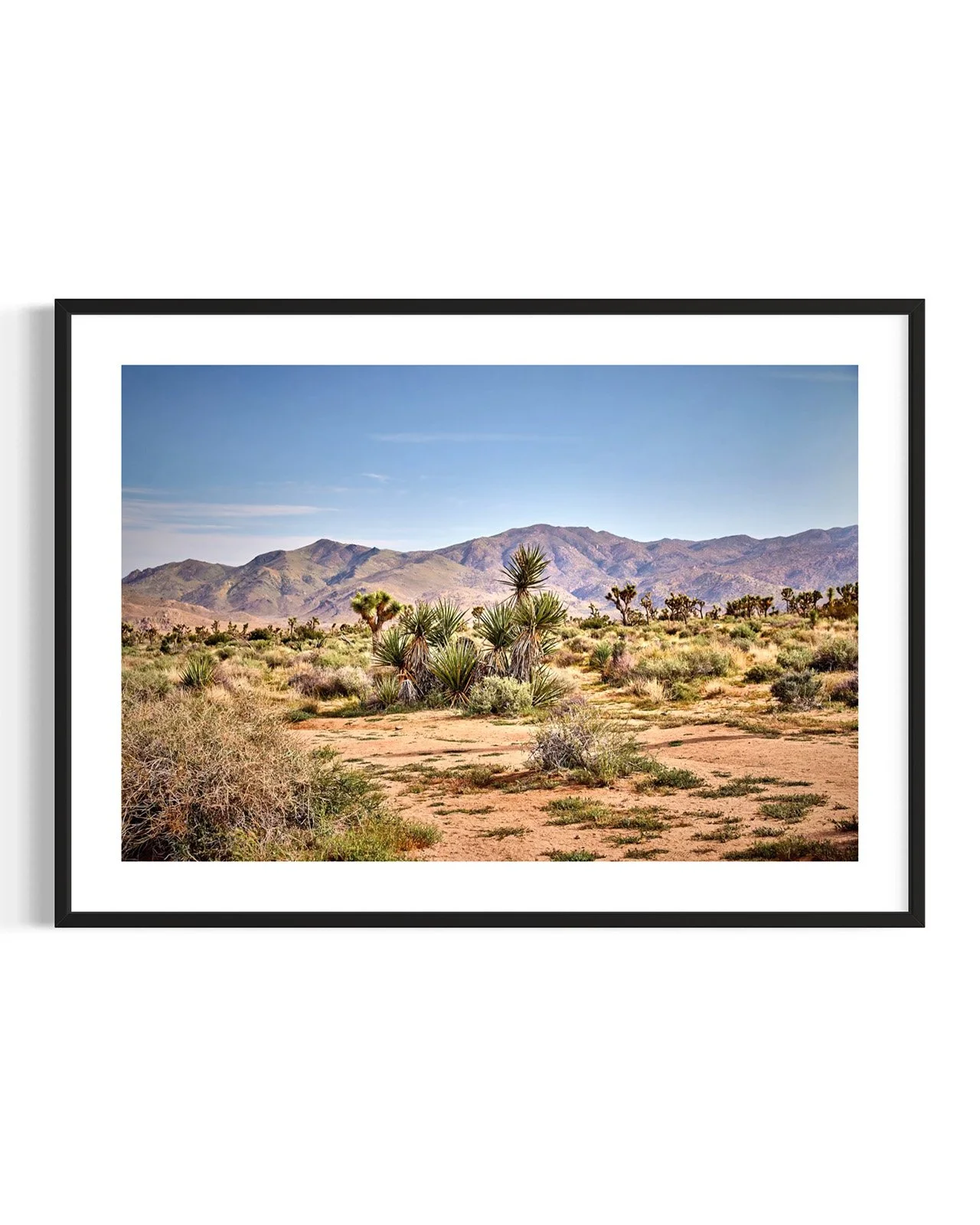 joshua-tree-oliphant-photo-art-5827-1.FF.DTL.BLK.00.jpg
