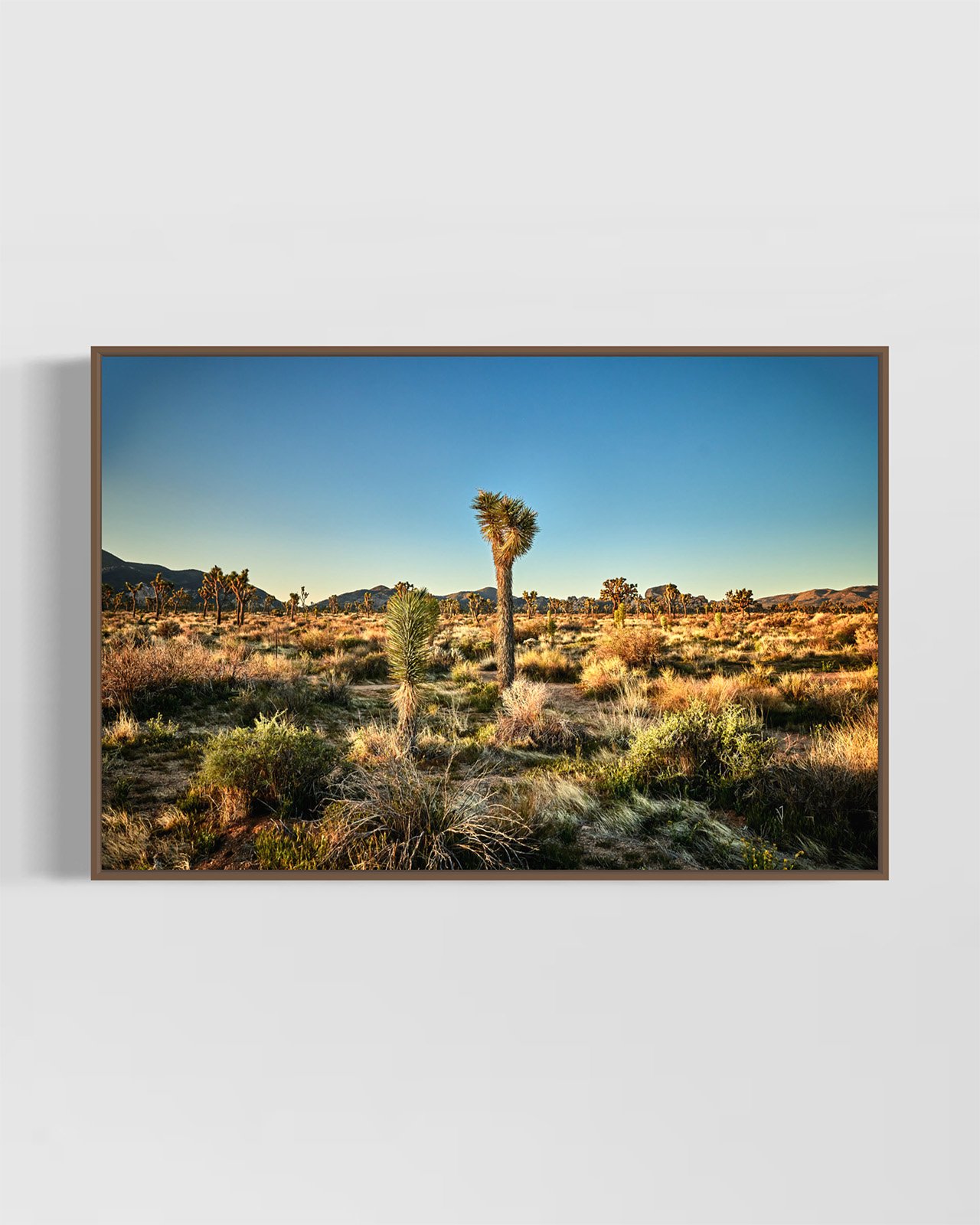joshua-tree-oliphant-photo-art-6294.WALNUT.jpg