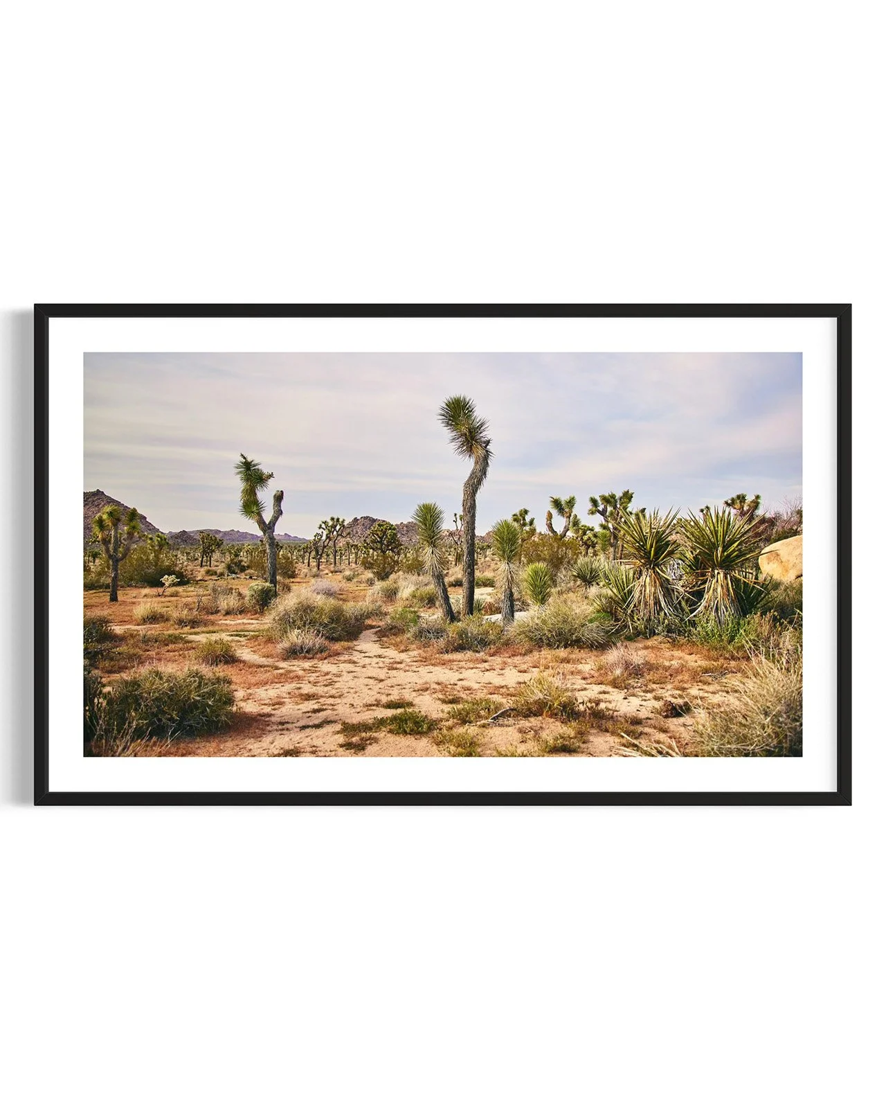 joshua-tree-oliphant-photo-art-5990.FF.DTL.BLK.001.jpg