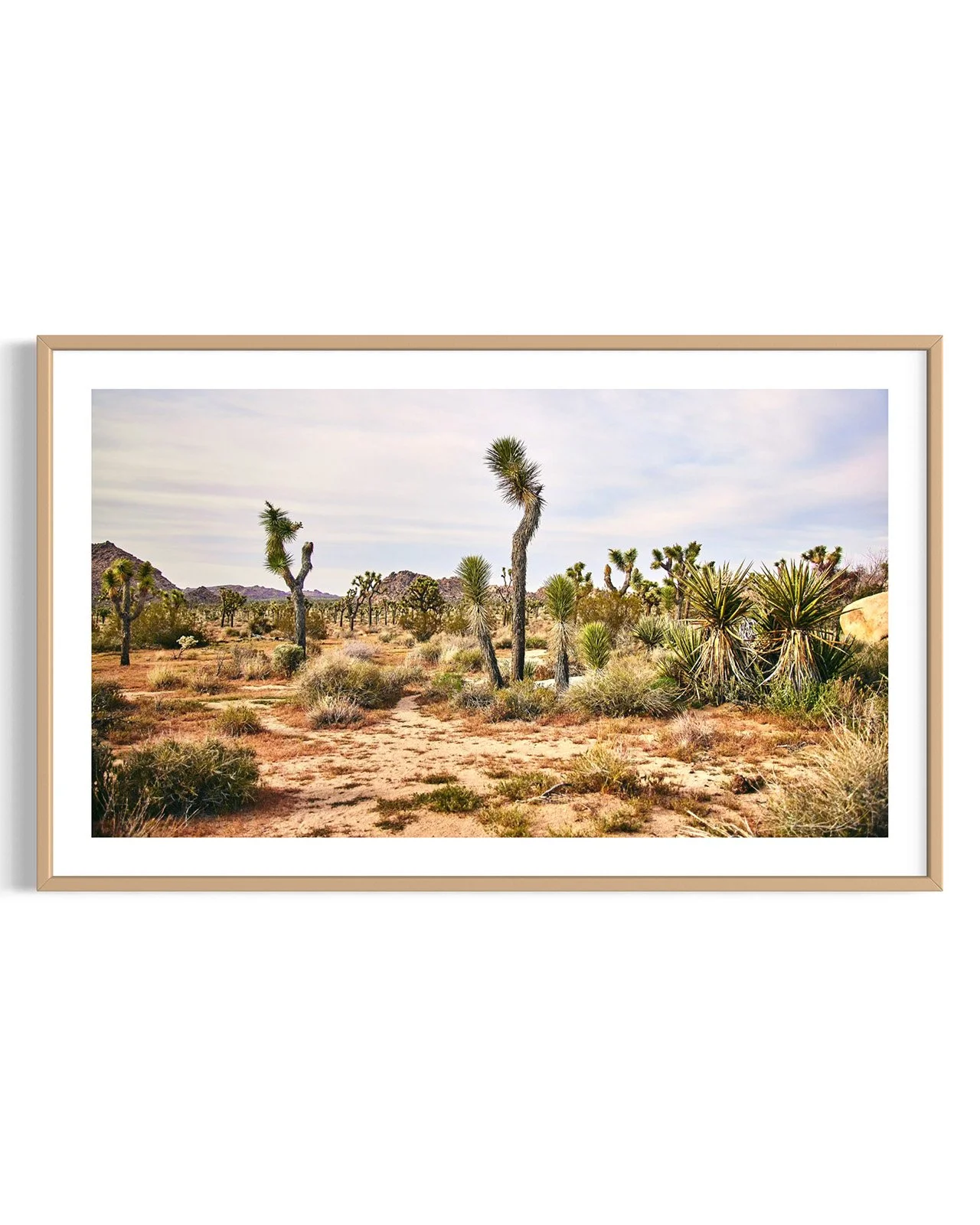 joshua-tree-oliphant-photo-art-5990.FF.DTL.OAK.001.jpg