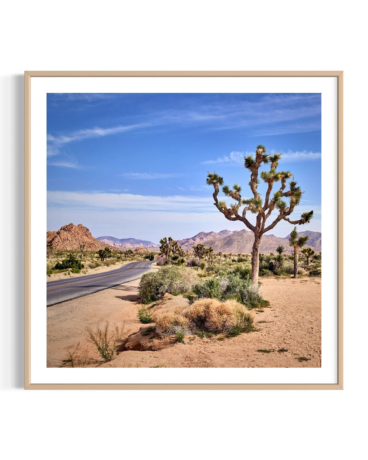 joshua-tree-oliphant-photo-art-5811-1.FF.DTL.OAK.001.jpg