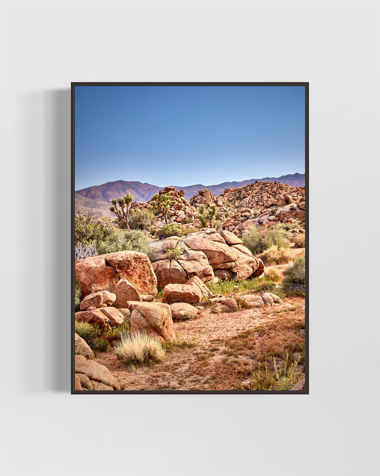 joshua-tree-oliphant-photo-art-5930.BLACK.jpg