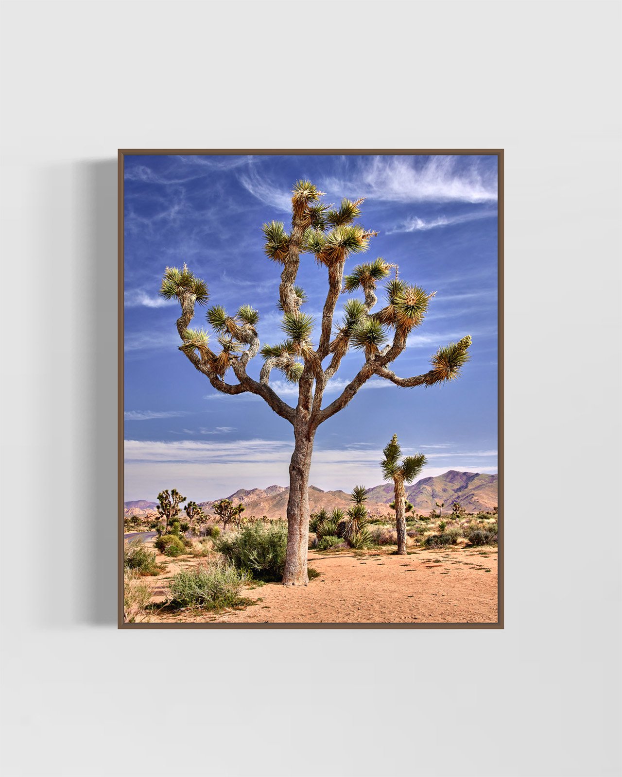 joshua-tree-oliphant-photo-art-5813.001.WALNUT.jpg