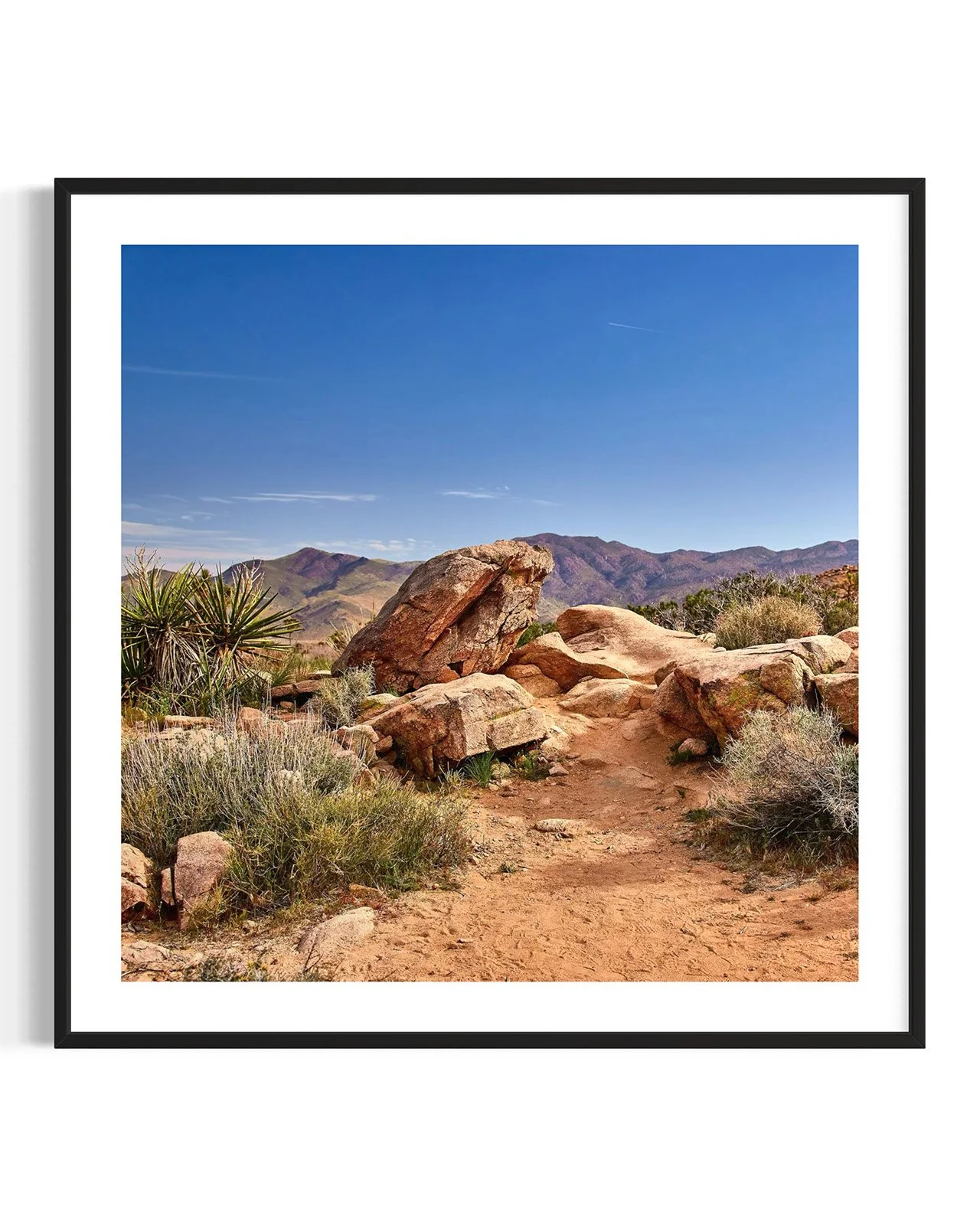 joshua-tree-oliphant-photo-art-5863.FF.DTL.BLK.001.jpg