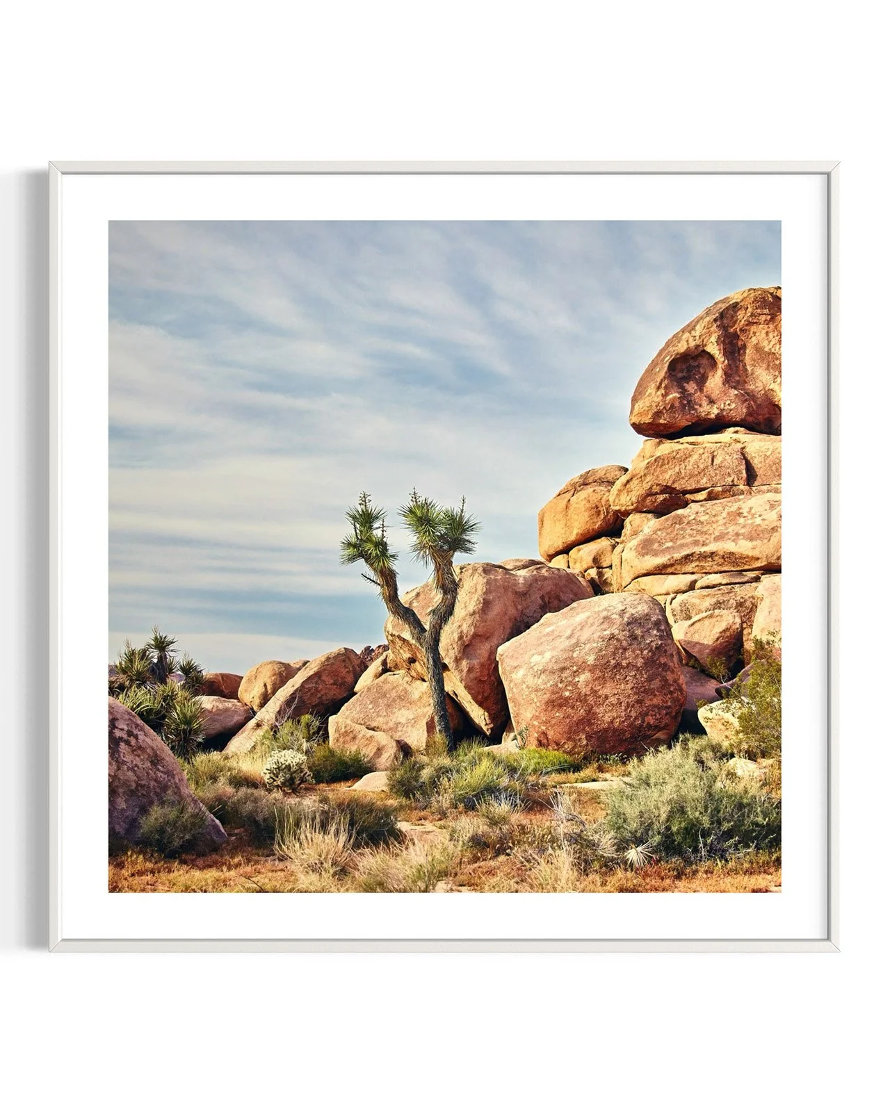 joshua-tree-oliphant-photo-art-6006-SQ.FF.DTL.WHT.001.jpg