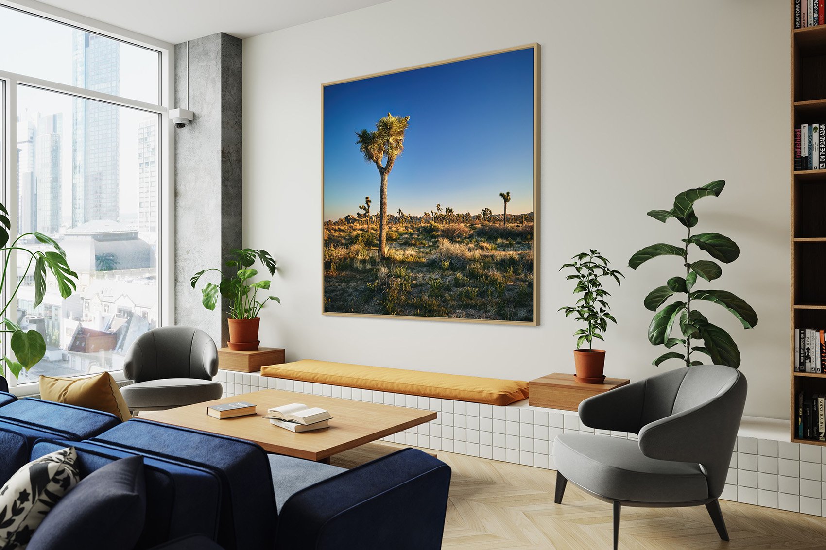 joshua-tree-oliphant-photo-art-6308.007.jpg