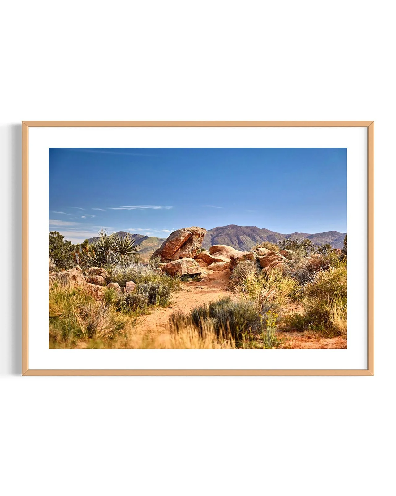 JOSHUA_TREE_5859.FF.DTL.OAK.001.jpg