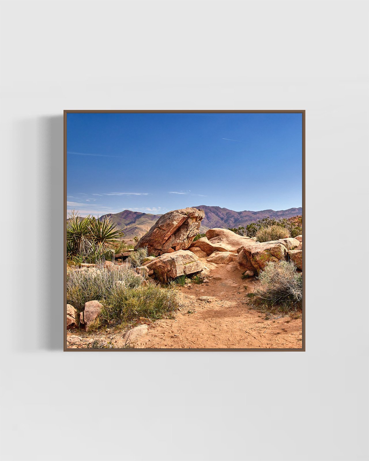 joshua-tree-oliphant-photo-art-5863.WALNUT.jpg