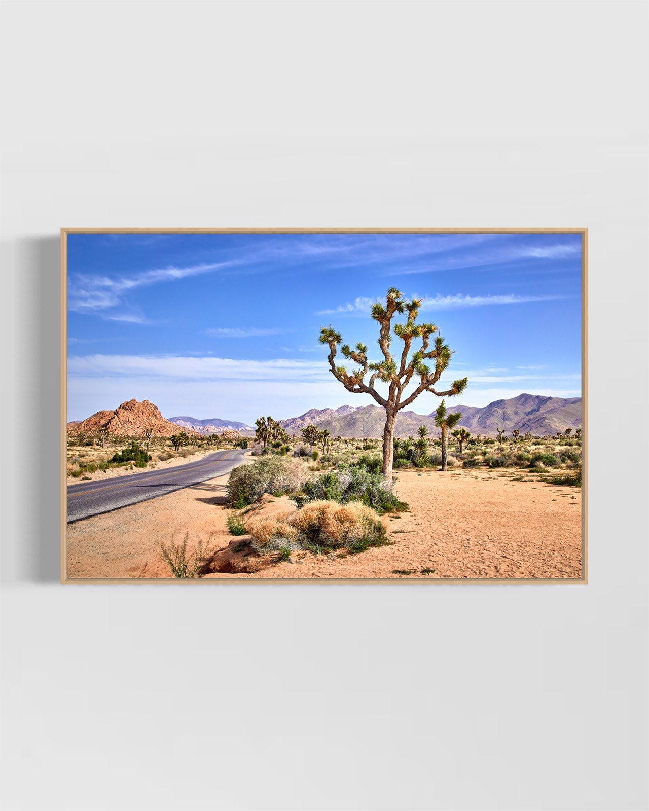joshua-tree-oliphant-photo-art-5810.OAK.jpg