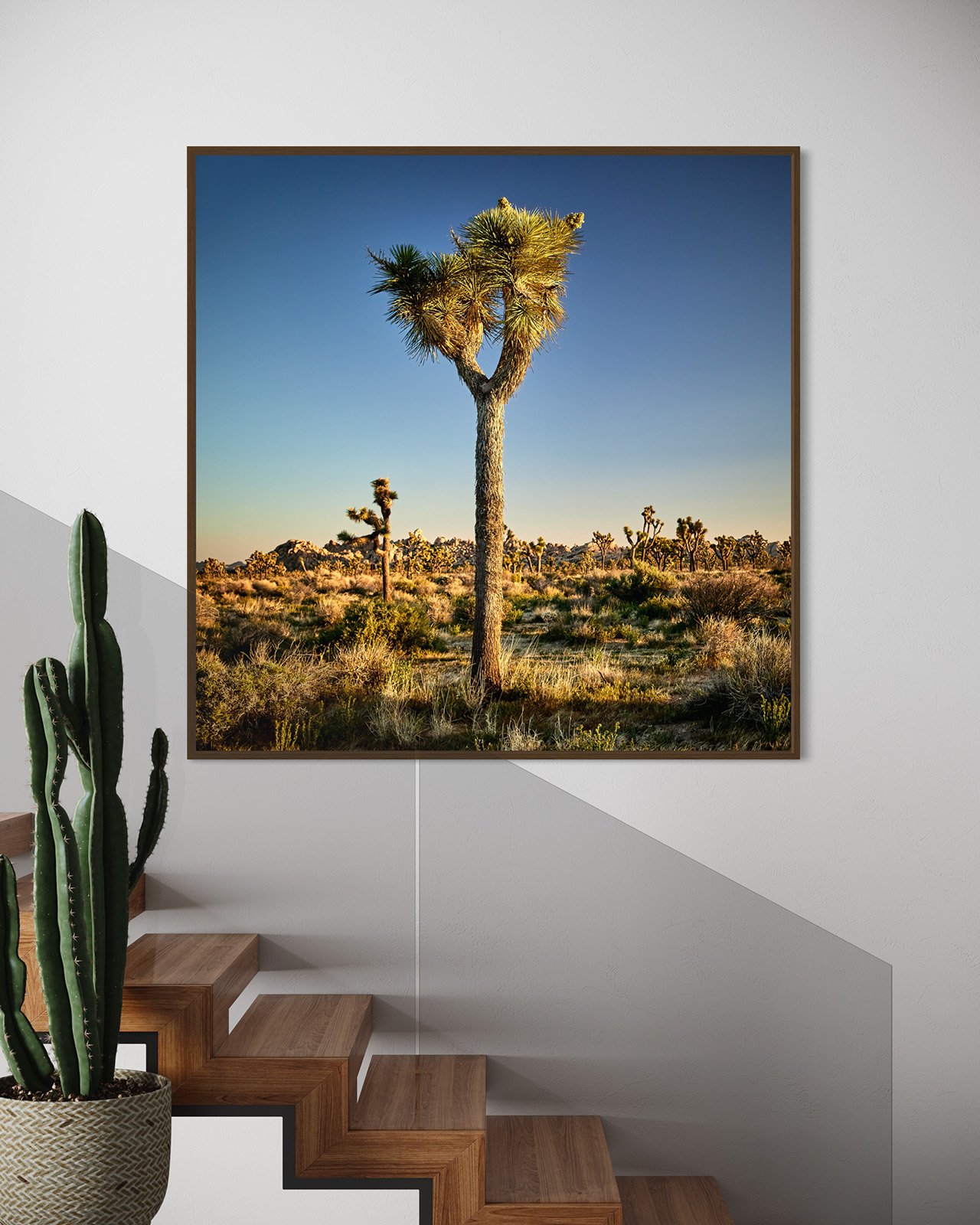 joshua-tree-oliphant-photo-art-6310-2.011.jpg