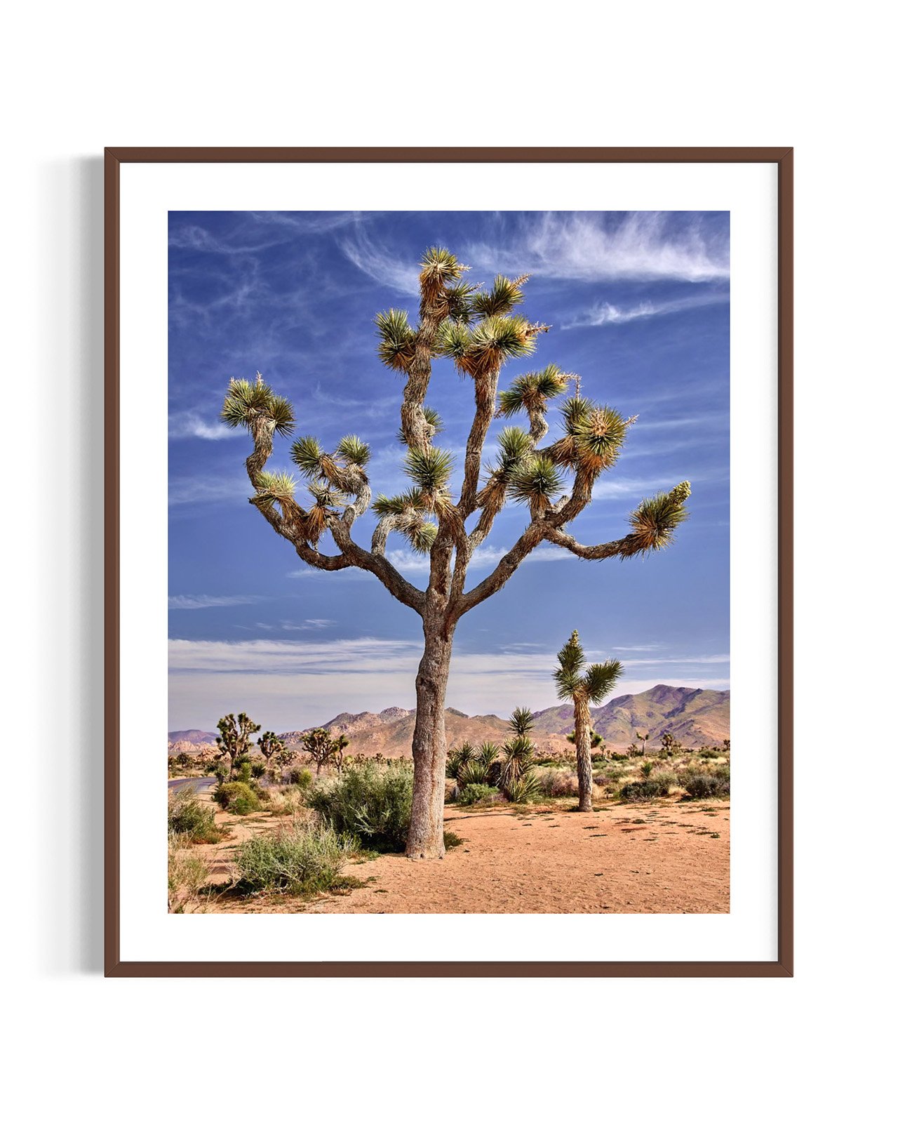 joshua-tree-oliphant-photo-art-5813.FF.DTL.WNT.001.jpg