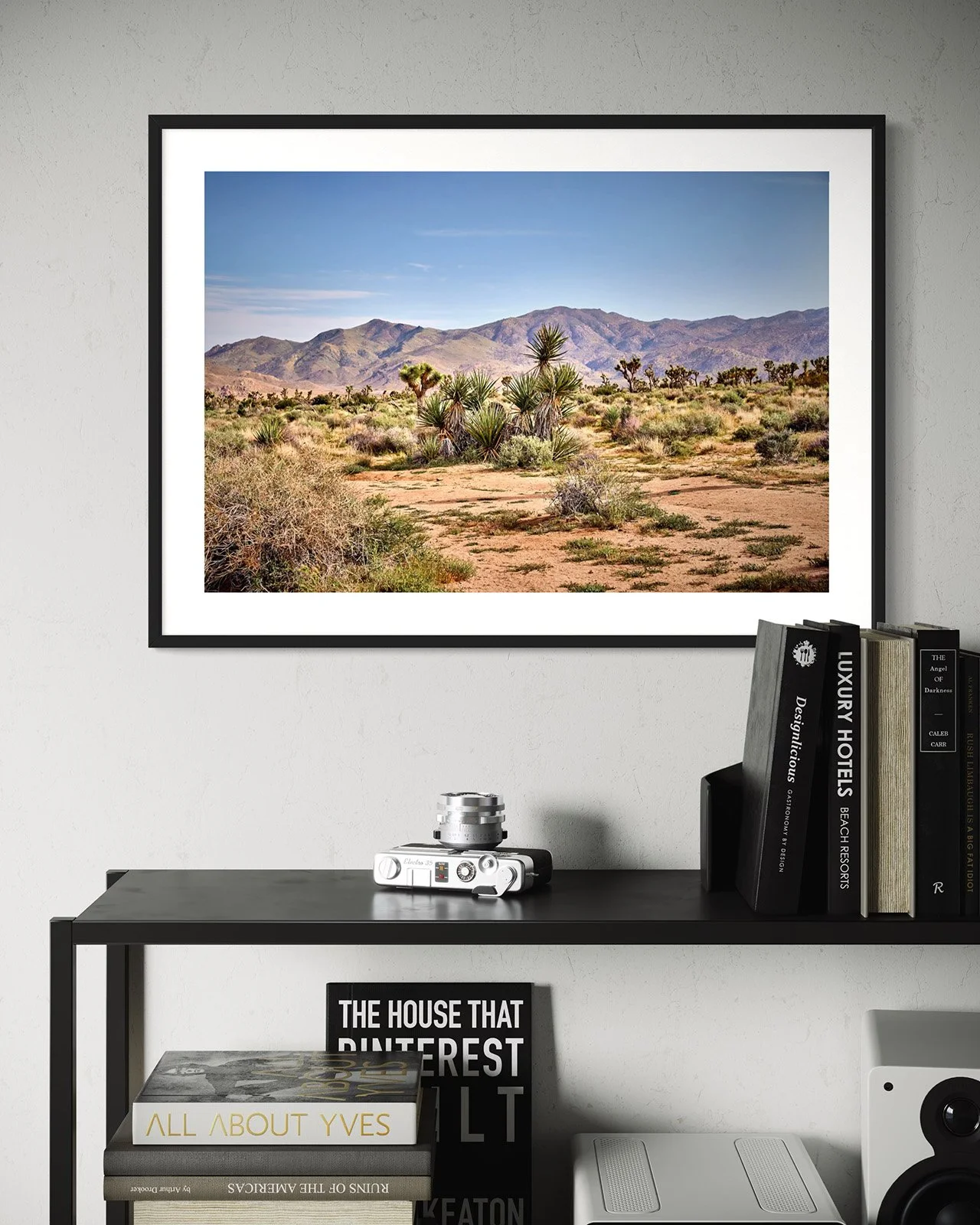 joshua-tree-oliphant-photo-art-5827-1.FF.STU.BLK.001.jpg