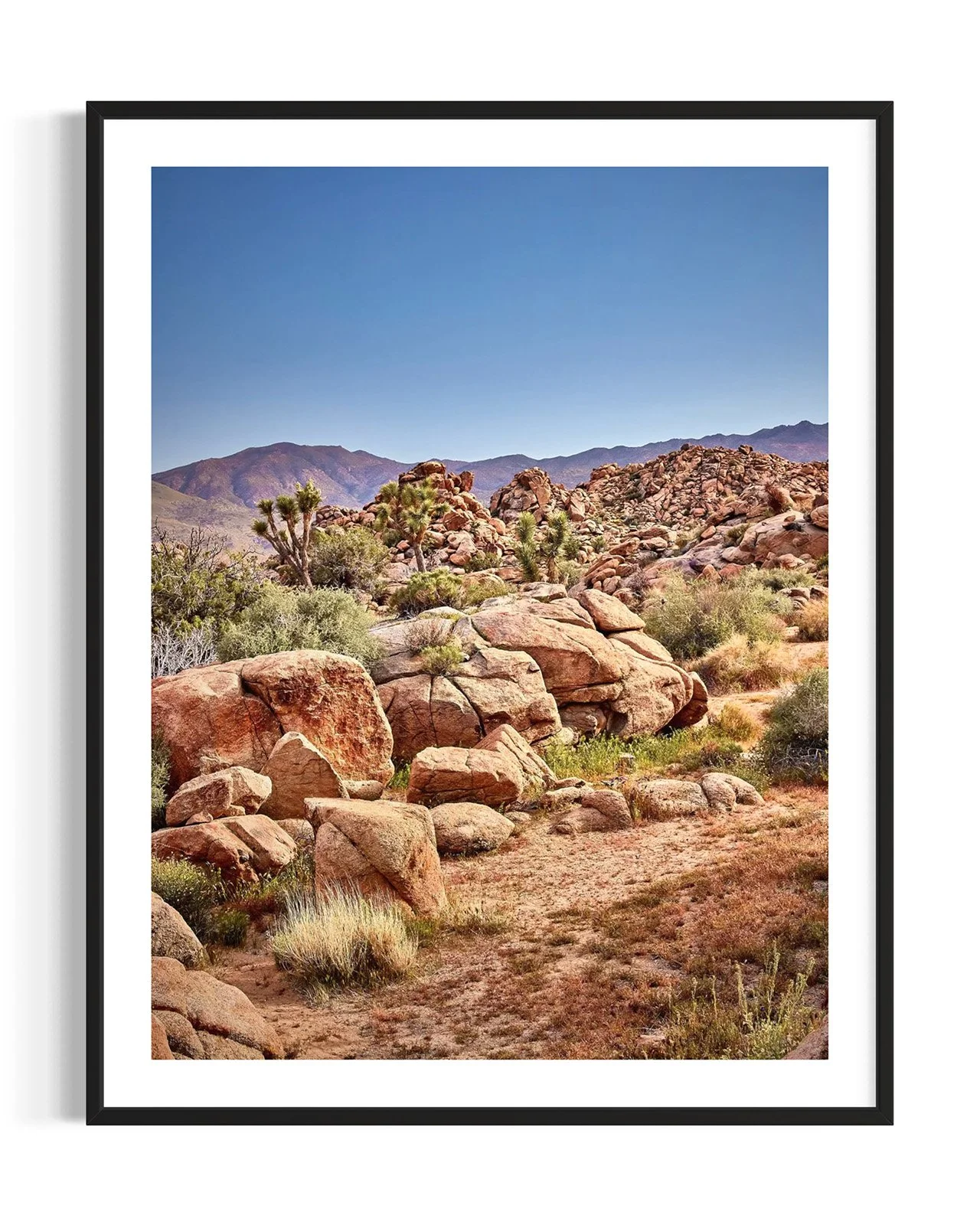 joshua-tree-oliphant-photo-art-5930.FF.DTL.BLK.001.jpg