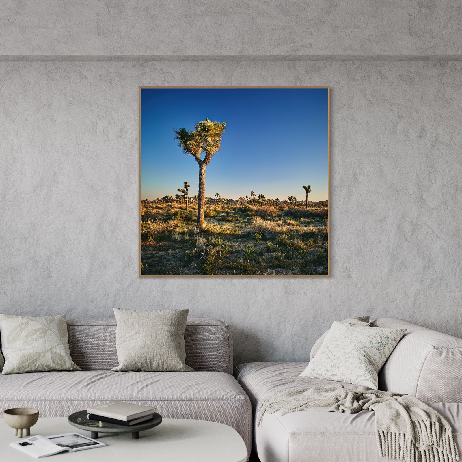 joshua-tree-oliphant-photo-art-6308.003.jpg