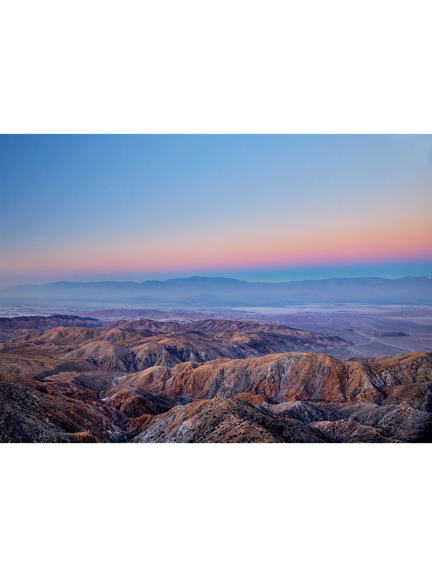 joshua-tree-oliphant-photo-art-6275_4X5.FILE.B.jpg