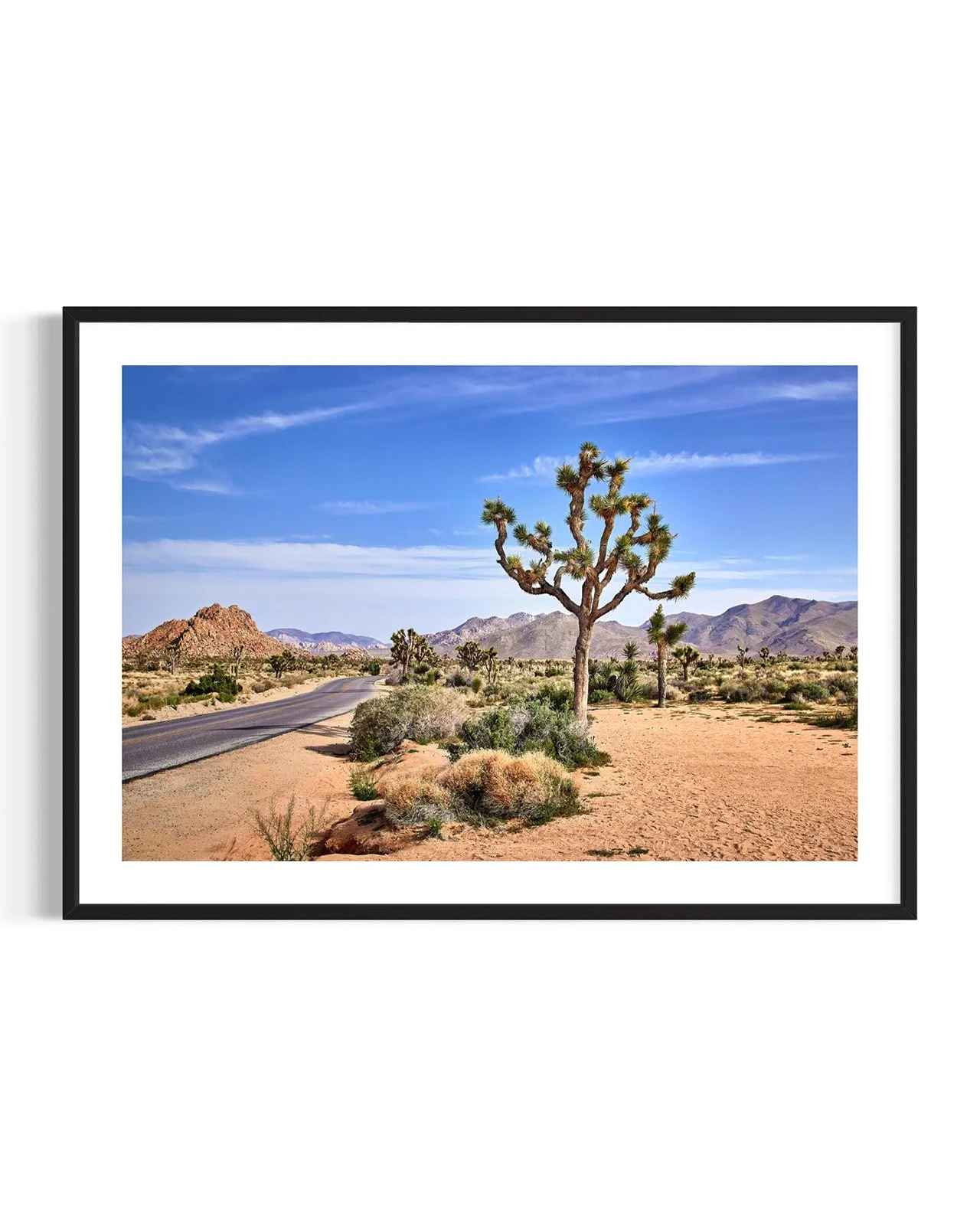 joshua-tree-oliphant-photo-art-5810.FF.DTL.BLK.001.jpg