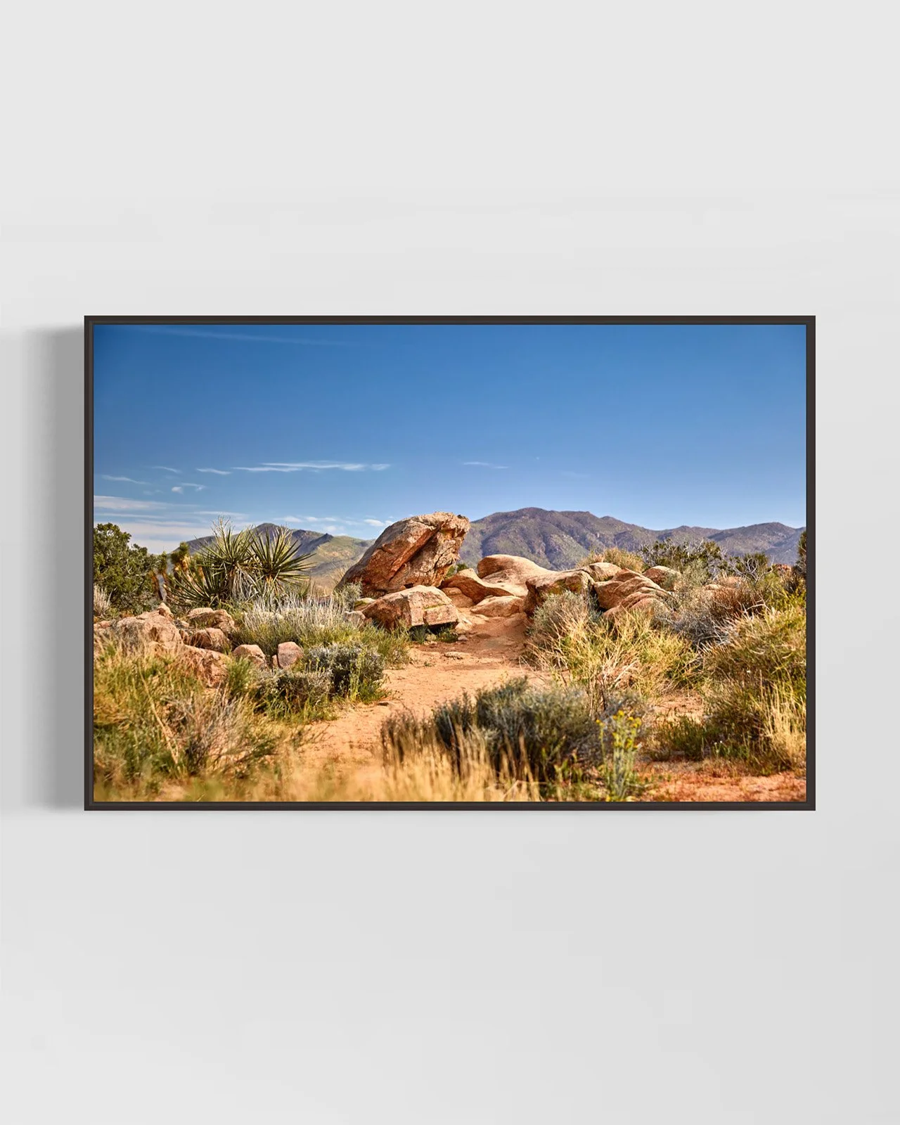 JOSHUA_TREE_5859.BLACK.jpg