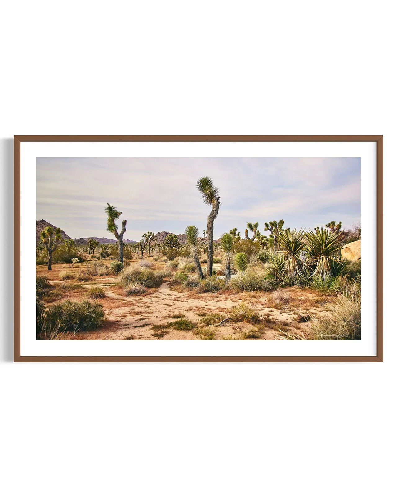 joshua-tree-oliphant-photo-art-5990.FF.DTL.WNT.001.jpg