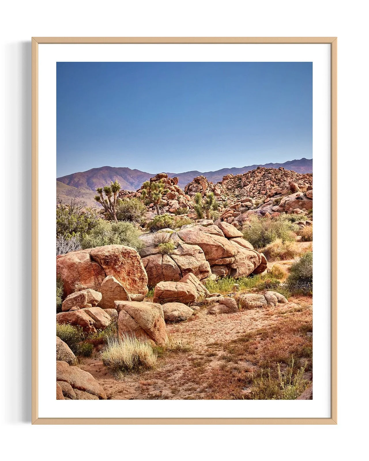 joshua-tree-oliphant-photo-art-5930.FF.STU.DTL.001.jpg